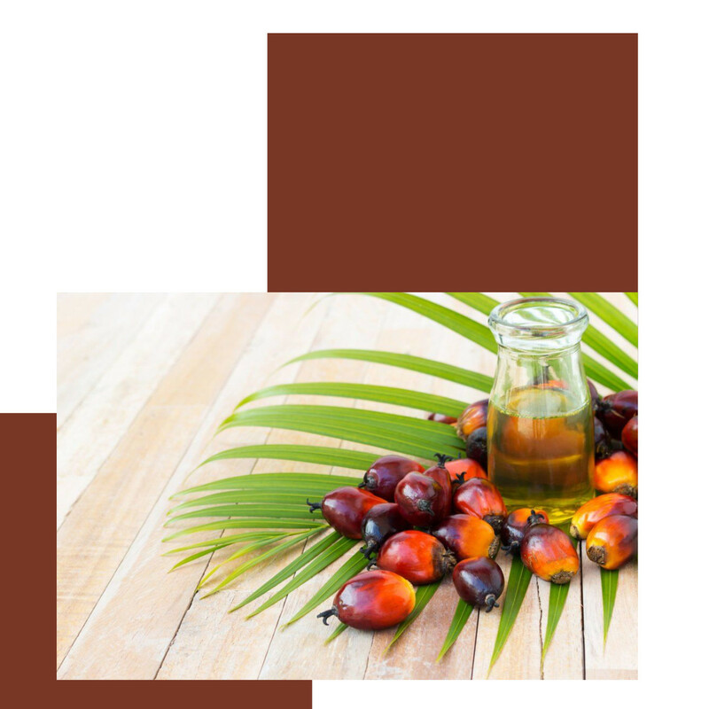 Palm Oil CP10