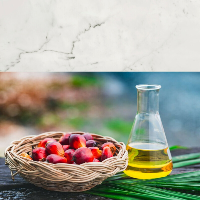 Palm Oil CP8