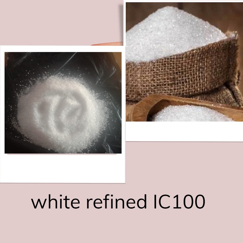 White Refined Sugar IC100